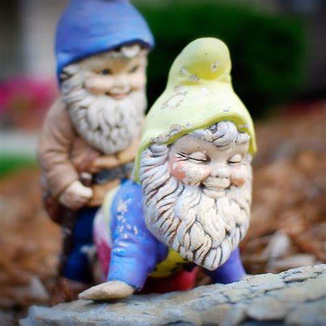 gnome gay|Gay Garden Gnomes .